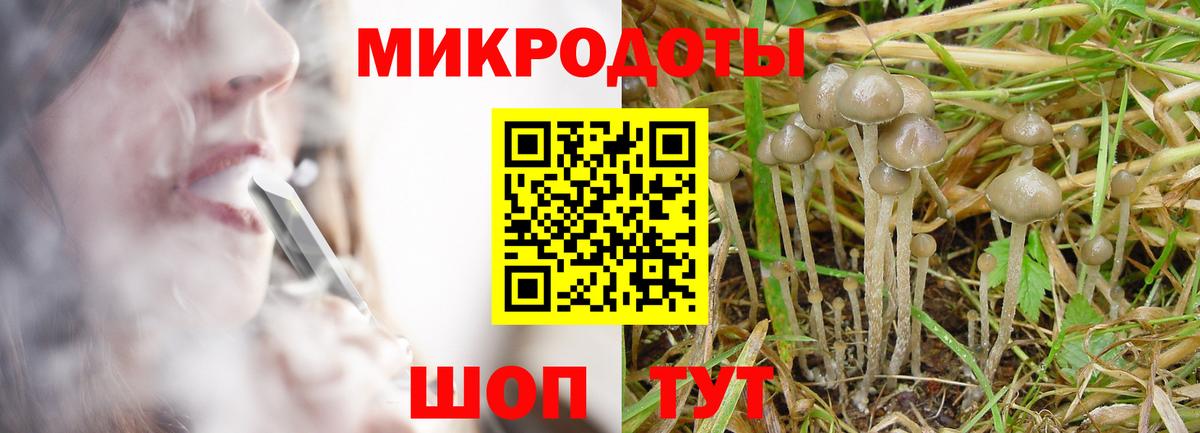 Псилоцибиновые грибы MAGIC MUSHROOMS  Вход с VPN  Новотроицк  Псилоцибиновые грибы GOLDEN TEACHER 